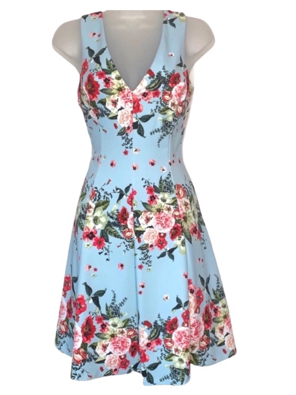 Jessica Simpson Floral Pleated Fit & Flare Mini Dress 4 Blue Red Pink Coquette